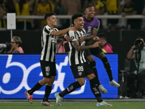 Botafogo Thrash Penarol 5-0 in Copa Libertadores Semi-Final First Leg