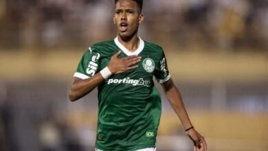 Estevao Willian